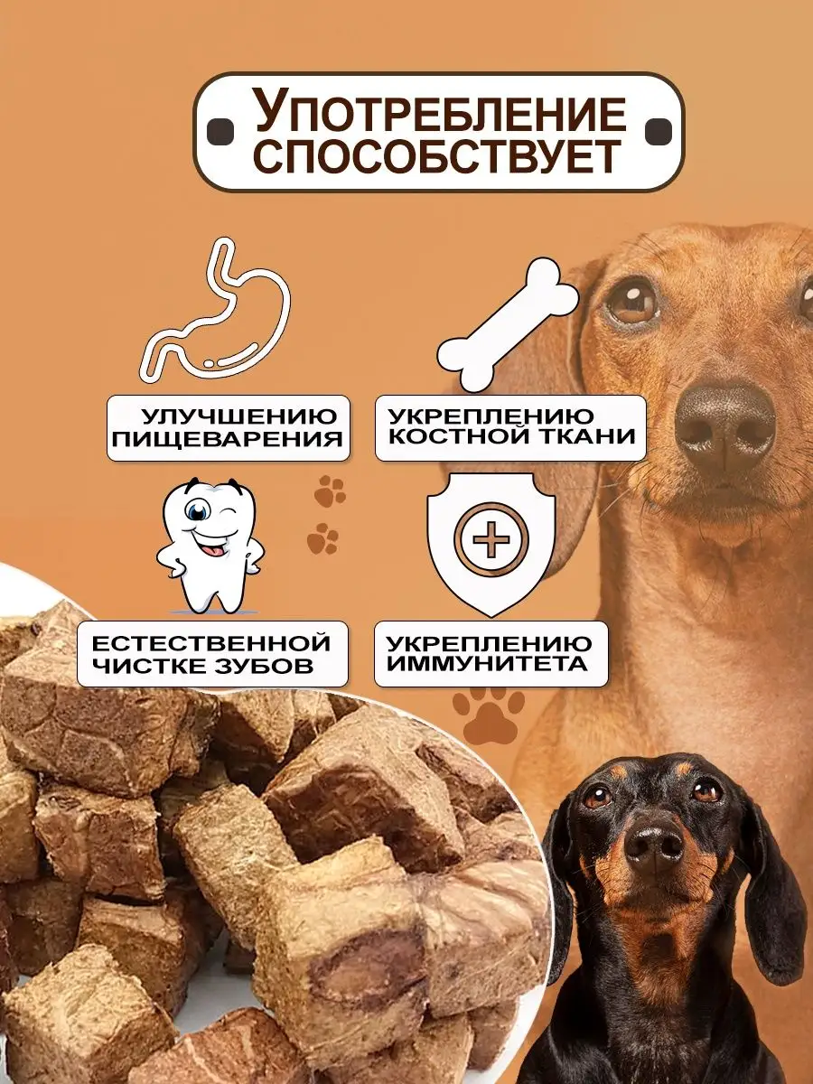 Легкое говяжье для собак 1000 г КМС DoG 134811484 купить за 1 301 ₽ в  интернет-магазине Wildberries