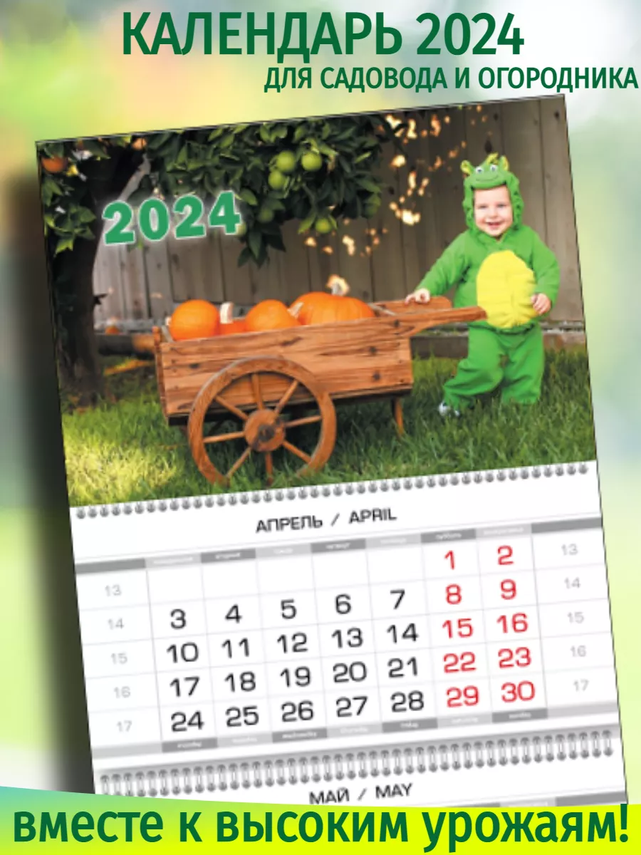 Календарь 2024 настенный и Лунный календарь в подарок Садовод и огородник  135462932 купить за 378 ₽ в интернет-магазине Wildberries