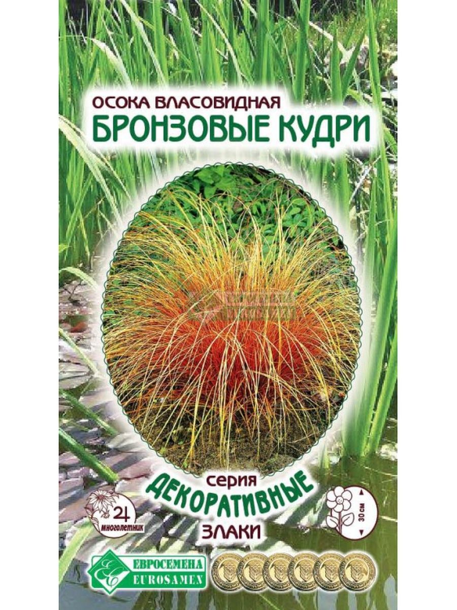 Осока власовидная «Бронзовые Кудри» семена Стильные цветы 135529425 купить  за 115 ₽ в интернет-магазине Wildberries