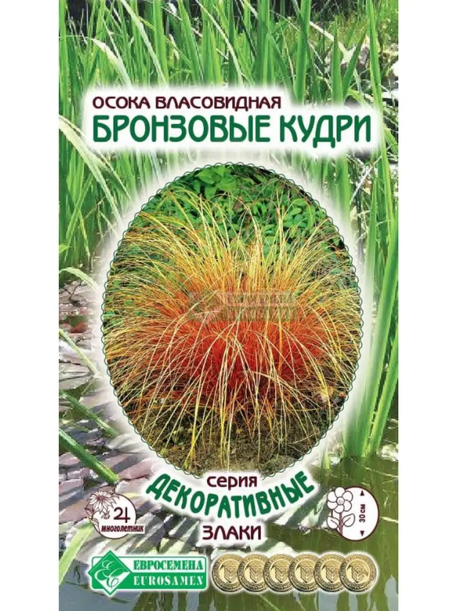 Осока власовидная «Бронзовые Кудри» семена Стильные цветы 135529425 купить  за 115 ₽ в интернет-магазине Wildberries