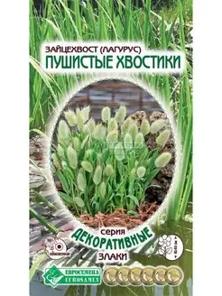 Лагурус зайцехвост семена Стильные цветы 135534317 купить за 146 ₽ в интернет-магазине Wildberries