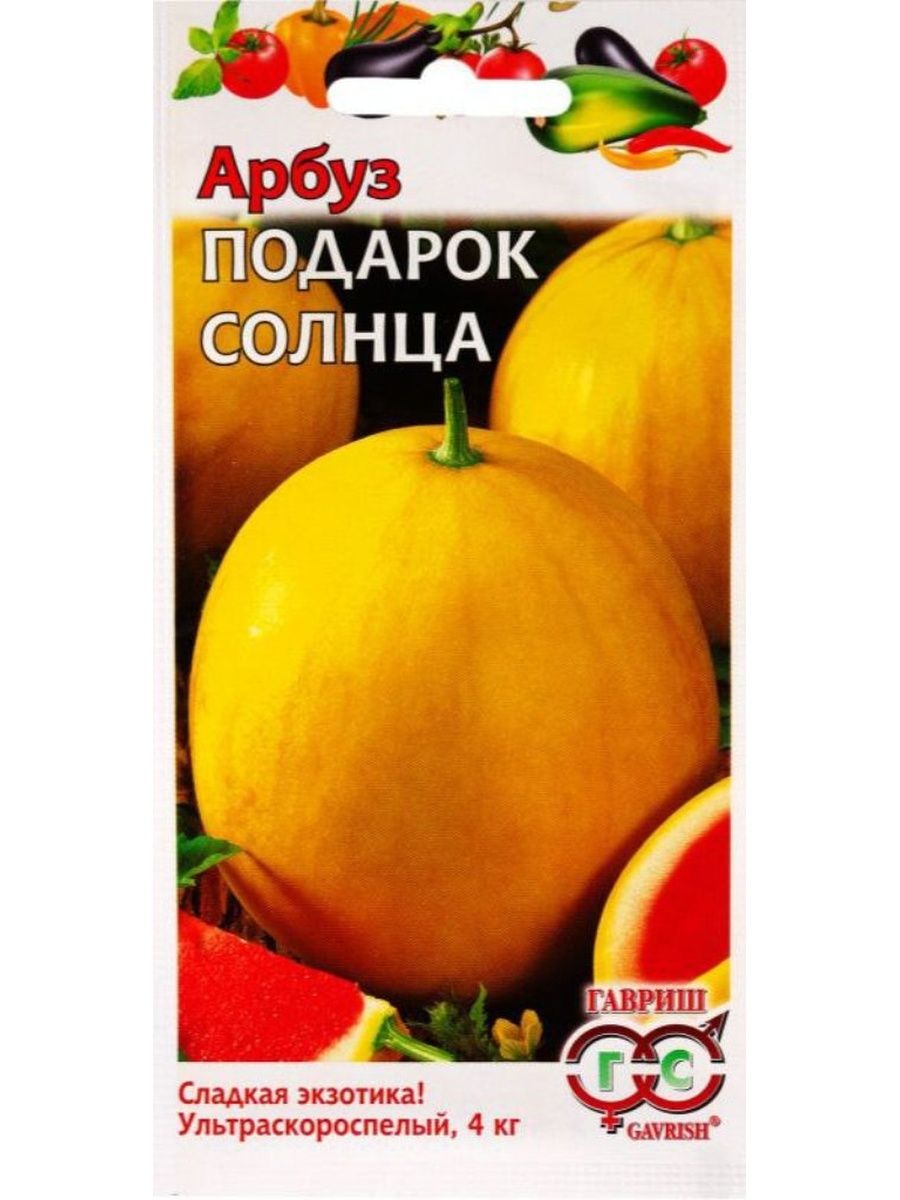 Арбуз подарок солнца. Гавриш Арбуз подарок солнца. Сорт арбуза подарок солнца. Арбуз подарок солнца 5 шт. Солнце в подарок.