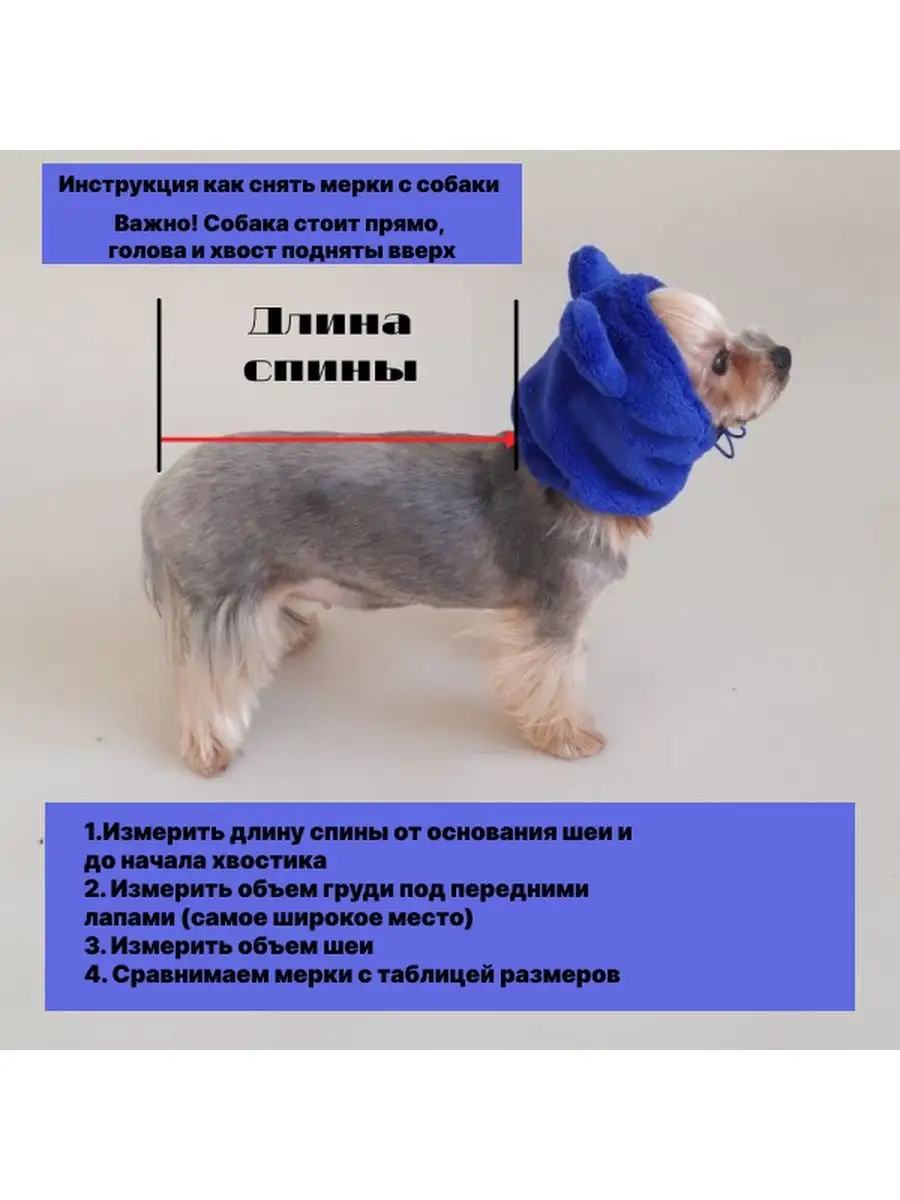 Комбинезон для собаки: выкройка, инструкция шитья, фото - sauna-chelyabinsk.ru