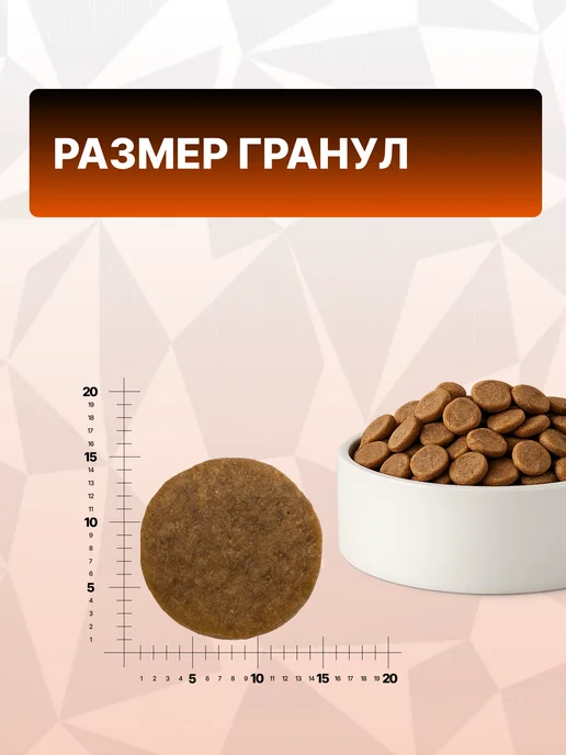 Сухой корм GRAND PRIX Монопротеиновый для собак, индейка, 2,5 кг, фото 7