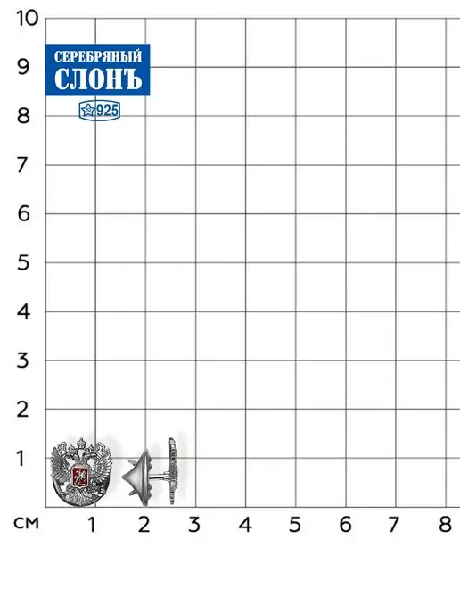 СЕРЕБРЯНЫЙ СЛОНЪ Значок серебряный 925 Герб России, серебристый, фото 2