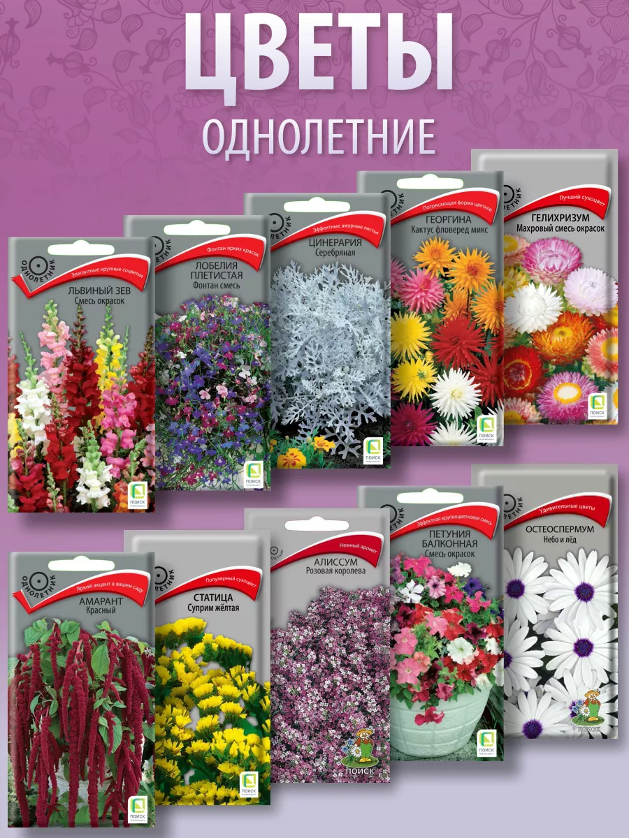 Цветники из однолетних цветов