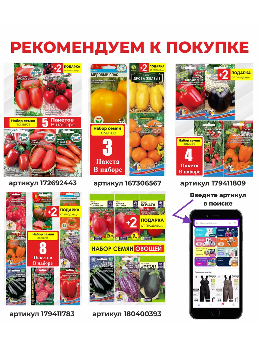 Семена Эвкалипт Николи Вырасти дома 135741309 купить в интернет-магазине  Wildberries