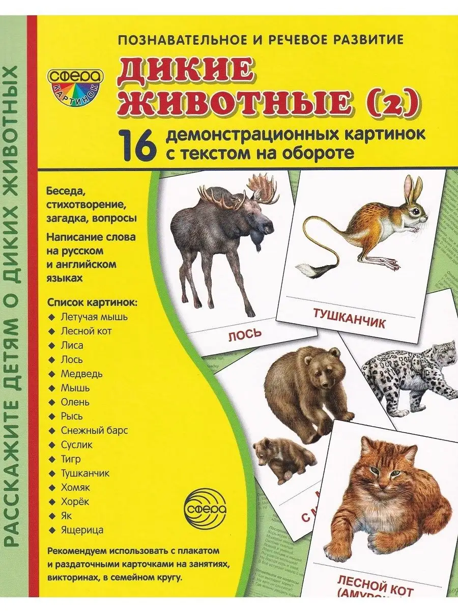 Демонстрационные картинки: Дикие животные (16 картинок) ТЦ СФЕРА 135771547  купить за 328 ₽ в интернет-магазине Wildberries