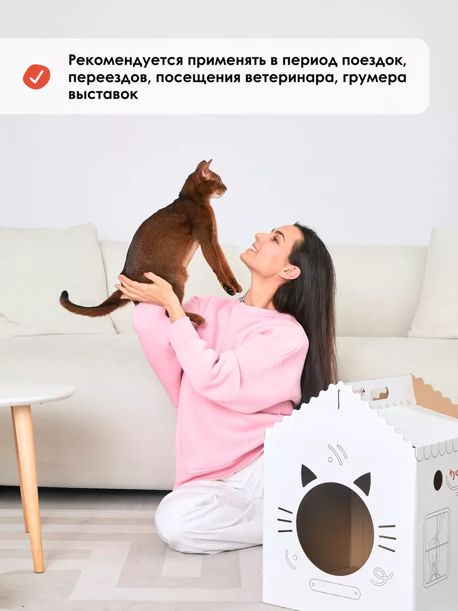 Успокоительное для кошек, успокоительные капли 50 мл Muzzle pet care  135803095 купить за 199 ₽ в интернет-магазине Wildberries