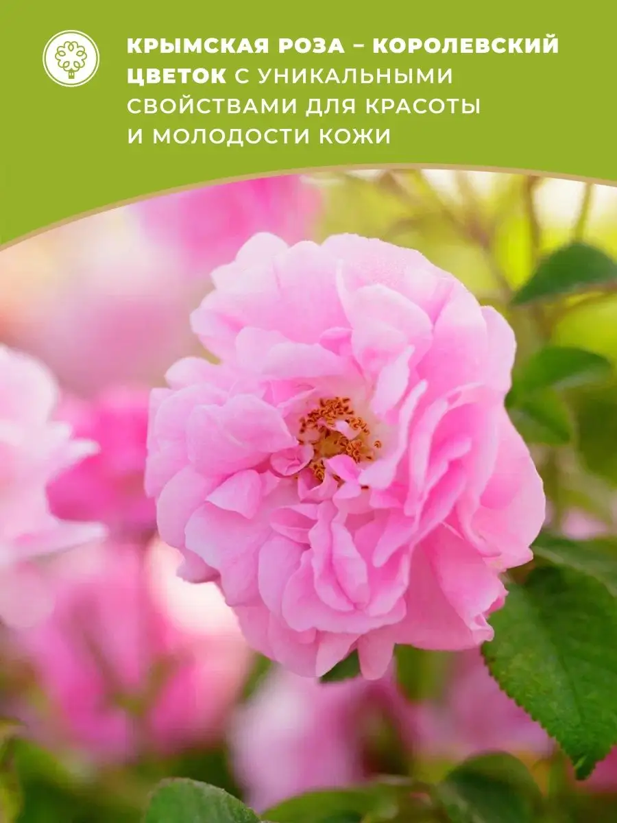 Крем для лица увлажняющий для сухой и чувствительной кожи Крымская Королева  Роза 135825681 купить за 616 ₽ в интернет-магазине Wildberries