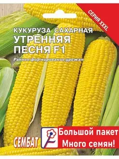 Семена Кукуруза Утренняя песня 20г Сембат 135887689 купить за 96 ₽ в интернет-магазине Wildberries