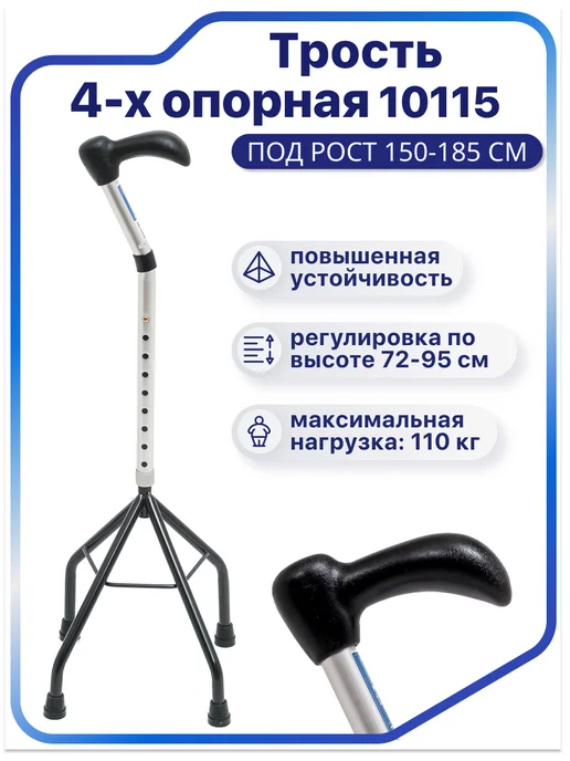 barry Трость опорная 10115Е Евростиль (большая), серый