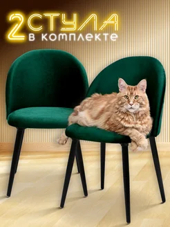Мягкие обеденные стулья для кухни 2 шт со спинкой AMI 135997868 купить за 6 152 ₽ в интернет-магазине Wildberries