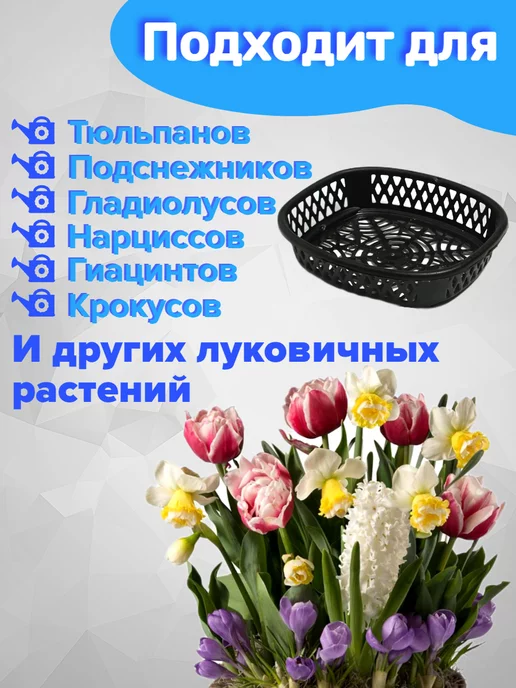 МК Трэйд Корзина для луковичных, вариант, фото 3