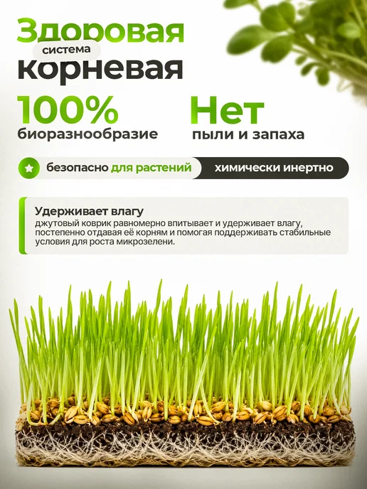 FOREST GREEN Джутовый коврик для микрозелени, зеленый, фото 2