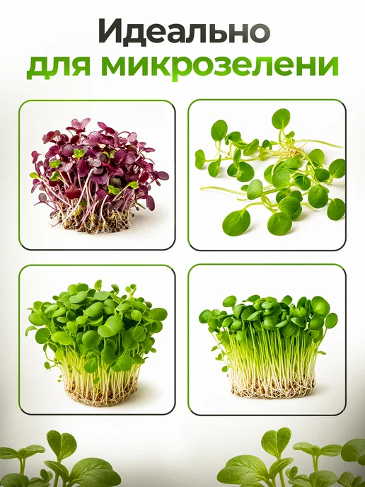 FOREST GREEN Джутовый коврик для микрозелени, зеленый, фото 8
