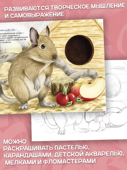 Алтей Раскраска для детей Животные и рыбки 2 шт, 2 шт, фото 5
