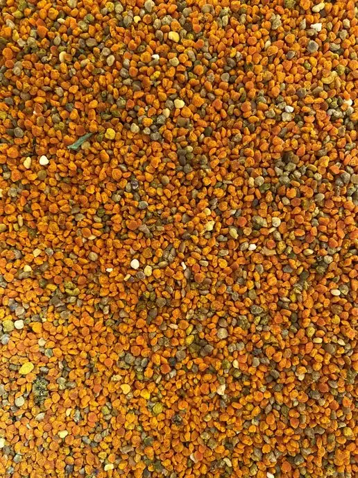 Алтайский мёд село Старобелокуриха Пыльца пчелиная Цветочная Алтайская Витамин А,С,Е,В, вариант, фото 2