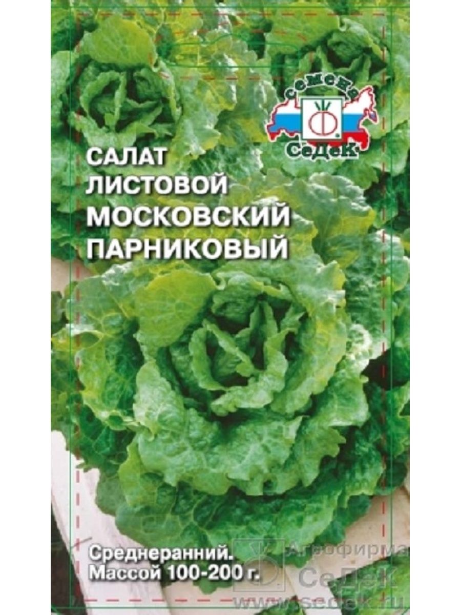 Салат московский парниковый описание. Салат листовой Московский. Салат листовой Московский парниковый. Салат Московский парниковый. Салат Московский семена.