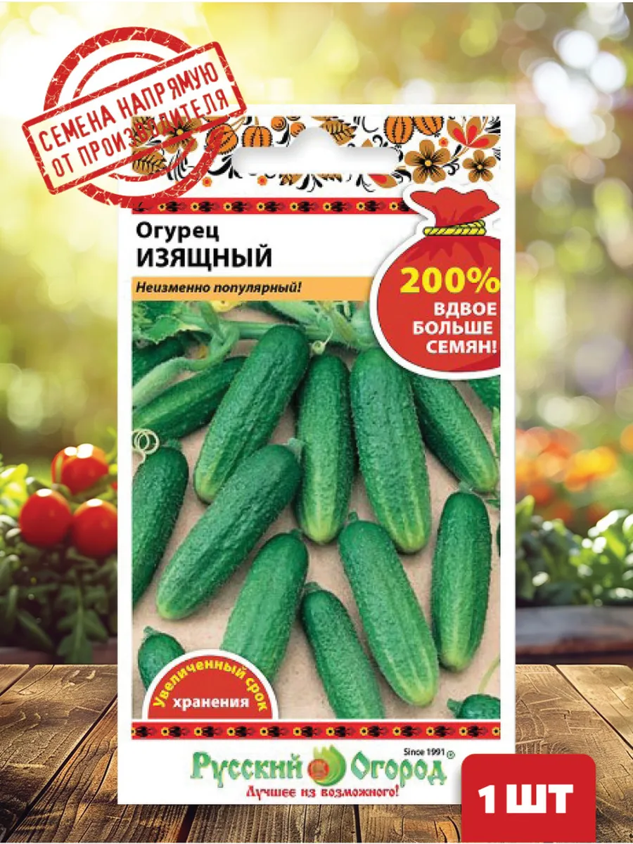 Семена гавриш огурец изящный 0,5 г. Огурцы сорт изящный. Огурец изящный семена. Огурцы сорт либелла. Сорт огурцов изящные.