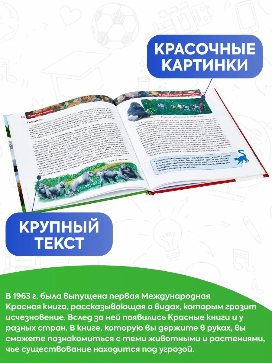 Когда с тобой хочет познакомиться молодой парень, а у тебя уже хрусталик расфокусировался | Пикабу