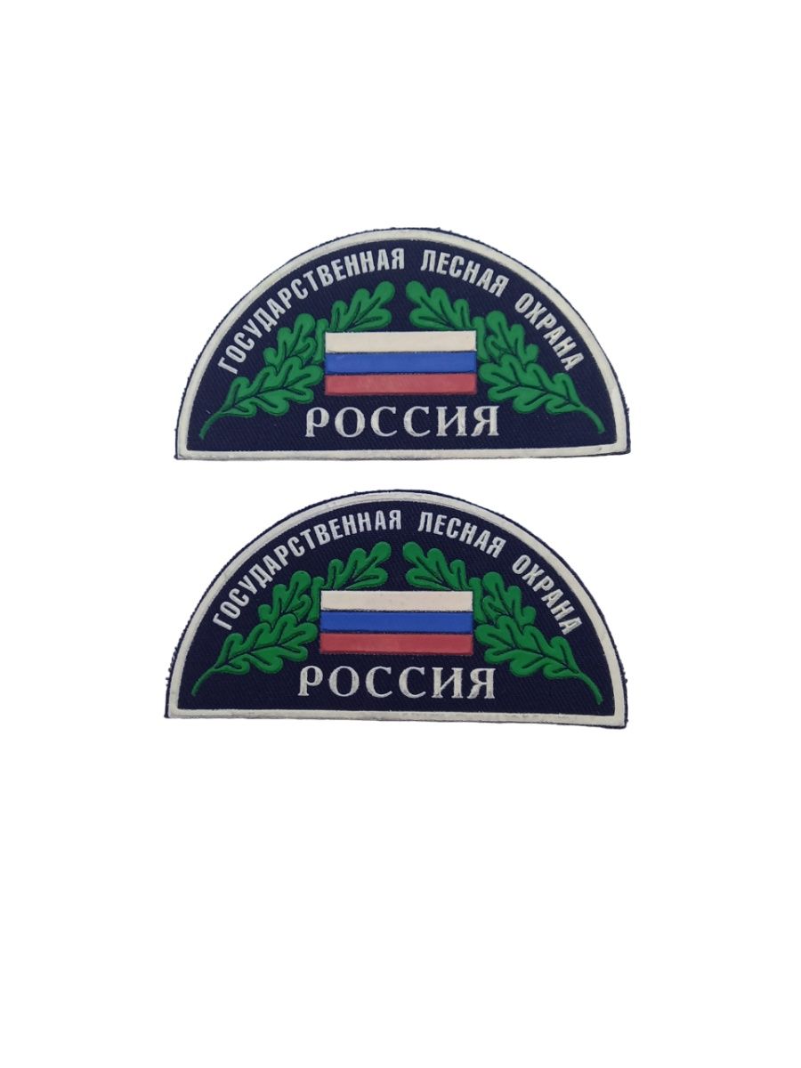 Нашивка лес. Государственная Лесная охрана Шеврон. Государственная Лесная охрана эмблема. Пуговица государственная Лесная охрана. Шевроны госслужб.