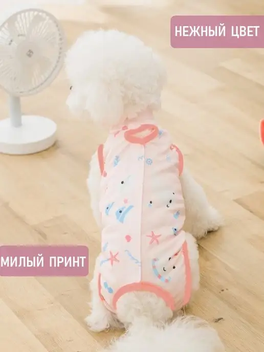 Chezare Попона для кошки послеоперационная на липучке стерилизации, голубой, фото 6