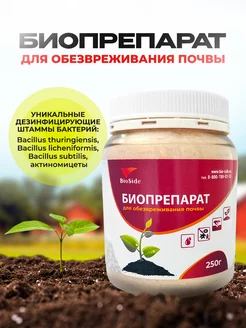 Удобрения осеннее от грибка фитофторы фузориоза BioSide 136781936 купить за 544 ₽ в интернет-магазине Wildberries