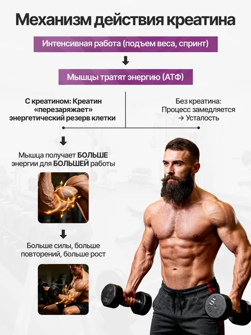Joyer Креатин моногидрат порошок Для набора массы, вариант, фото 5