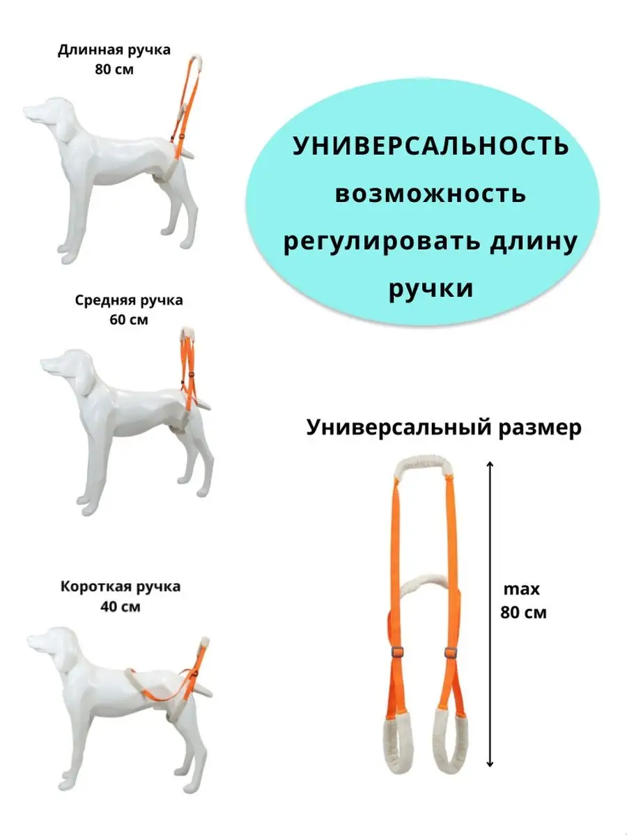 Шлейка - ходунки для поддержки задних лап собак Pets Care 137046074 купить  в интернет-магазине Wildberries