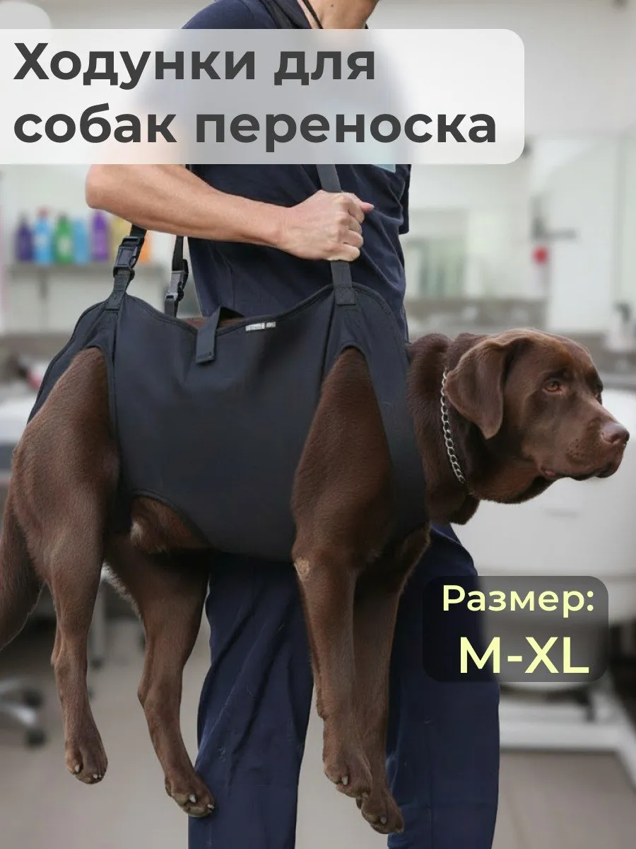 Ходунки - переноска для собак