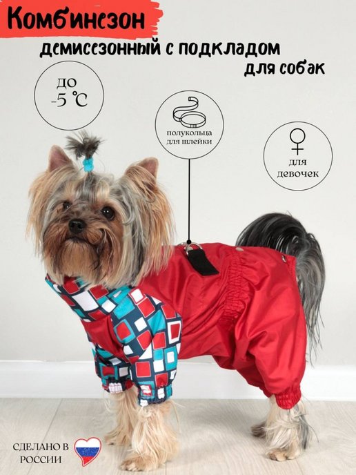 Одежда для маленьких собак - эксклюзив купить недорого. Доставка по России от 2 дней.