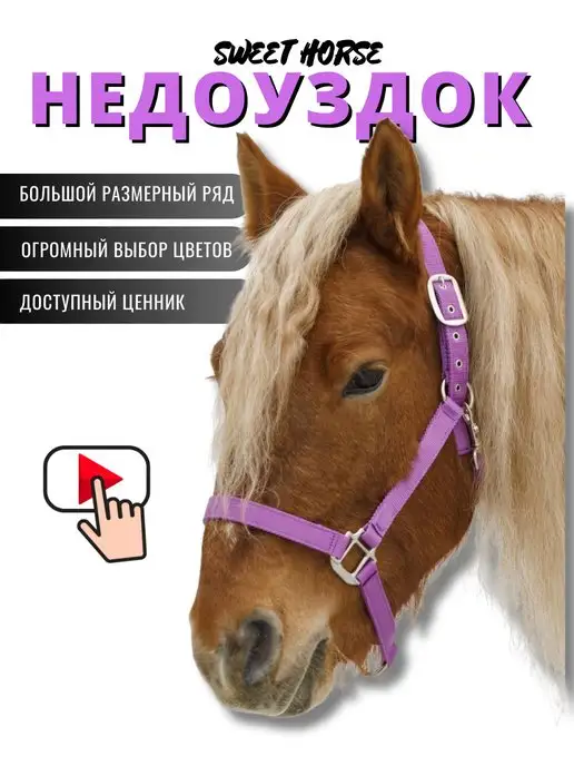 Sweethorse Недоуздок для лошади и пони, фиолетовый
