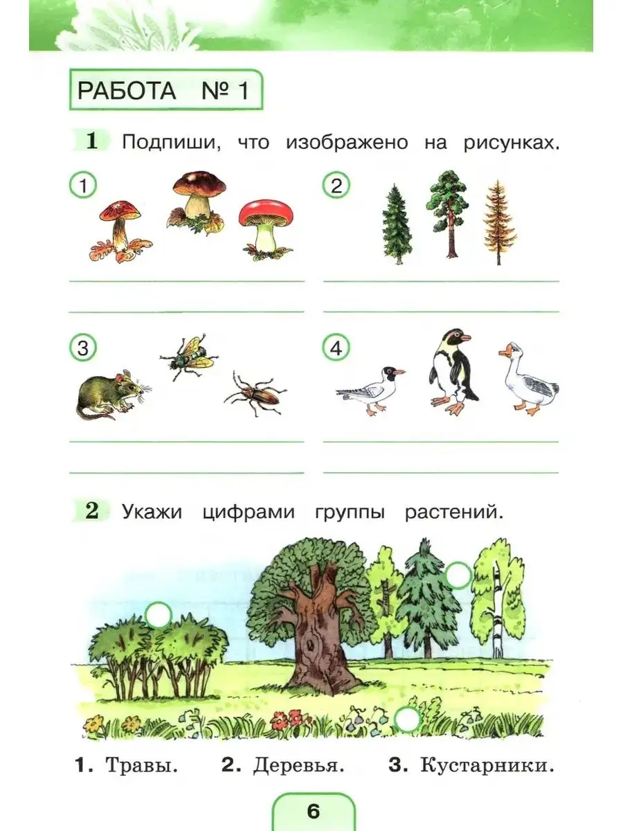 Поглазова О.Т. Окружающий мир. 2 класс. Тестовые задания Ассоциация 21 век  137326584 купить за 510 ₽ в интернет-магазине Wildberries