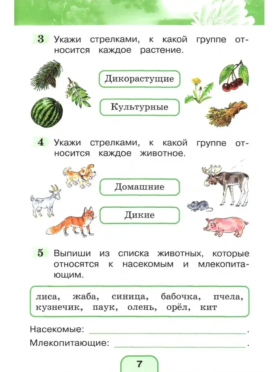 Поглазова О.Т. Окружающий мир. 2 класс. Тестовые задания Ассоциация 21 век  137326584 купить за 510 ₽ в интернет-магазине Wildberries