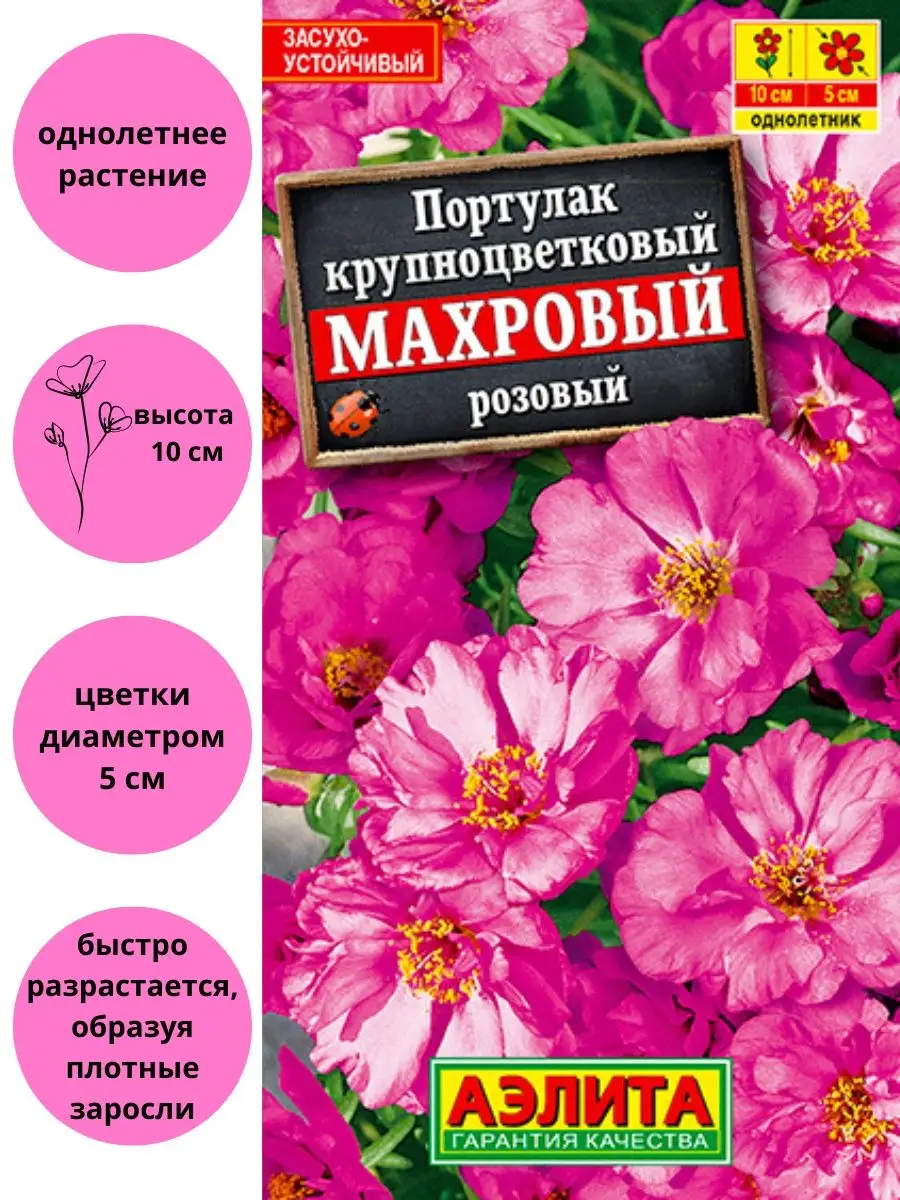 Портулак махровый розовый Агрофирма Аэлита 137350602 купить за 111 ₽ в  интернет-магазине Wildberries