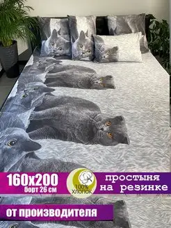 Простынь на резинке 160x200 СОНиЯ/ Простыня натяжная 160*200 СОНиСОН 137358507 купить за 882 ₽ в интернет-магазине Wildberries