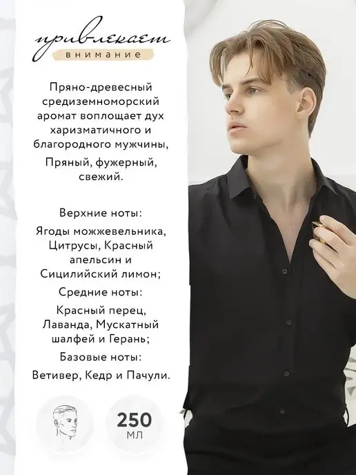 PRIVE Парфюмированный дезодорант пряный Knight, 250 мл, фото 2