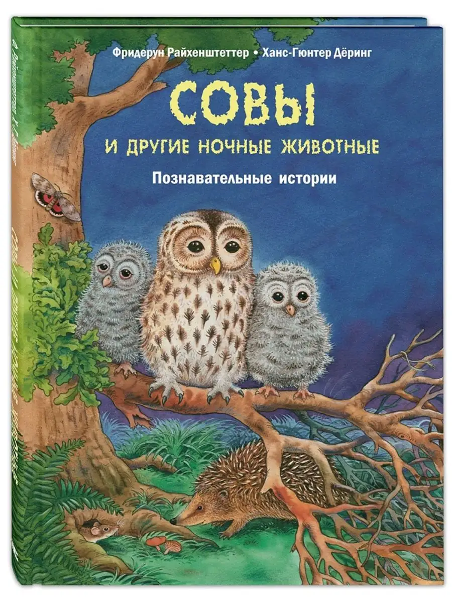 Совы и другие ночные животные Энас-Книга 137522514 купить в  интернет-магазине Wildberries