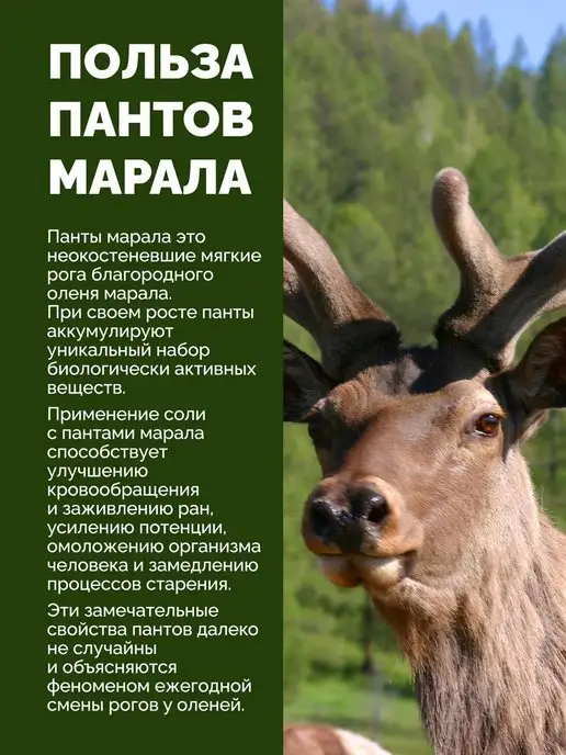Королевский Марал Соль для ванн с пантами марала, 1 000 грамм, вариант, фото 6