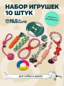 Игрушки для собак и щенков набор 10 штук pawsitive 137548089 купить за 708 ₽ в интернет-магазине Wildberries