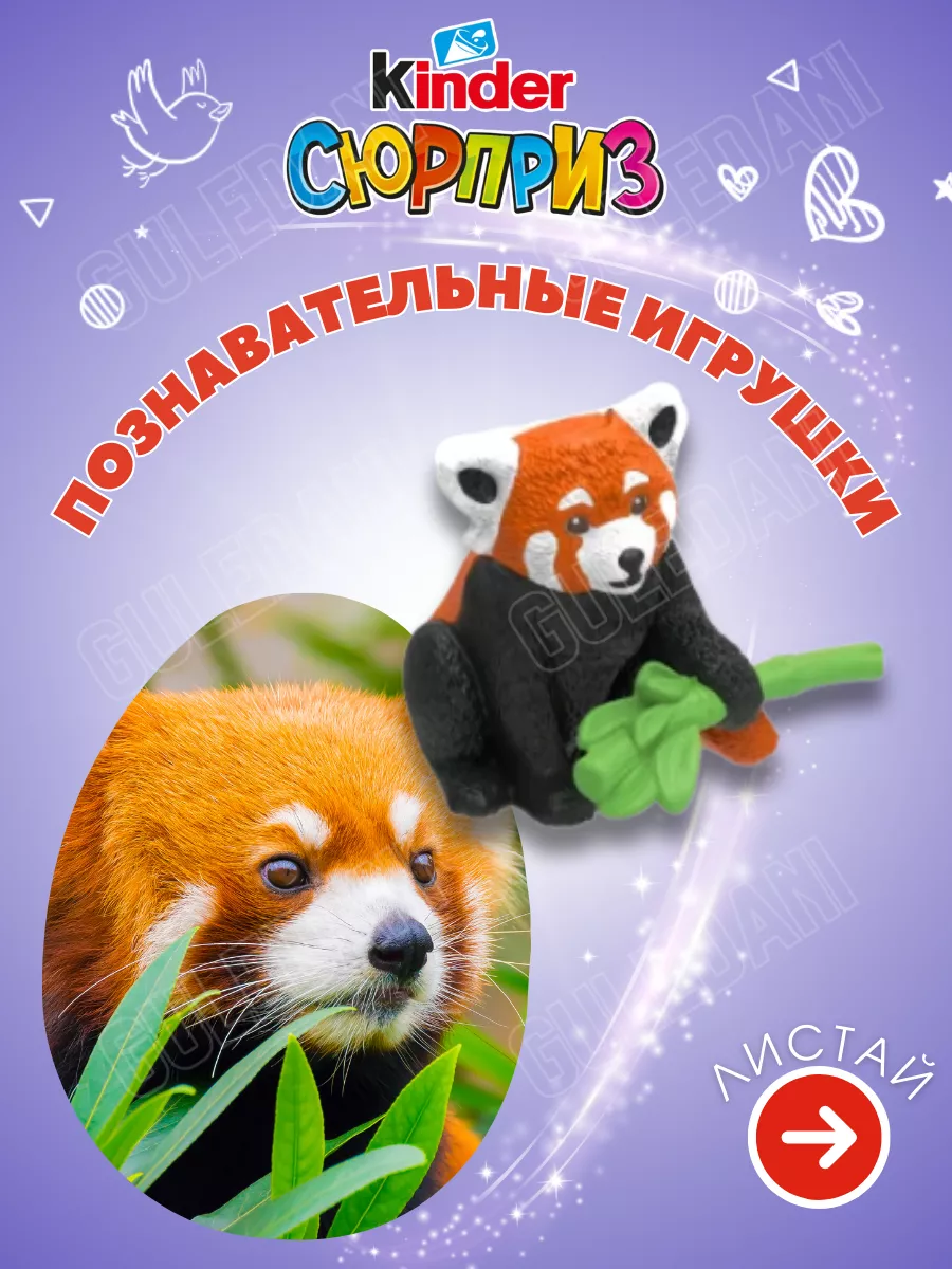 Шоколадный яйца Киндер Сюрприз 12 шт KINDER 137553387 купить за 1 604 ₽ в  интернет-магазине Wildberries