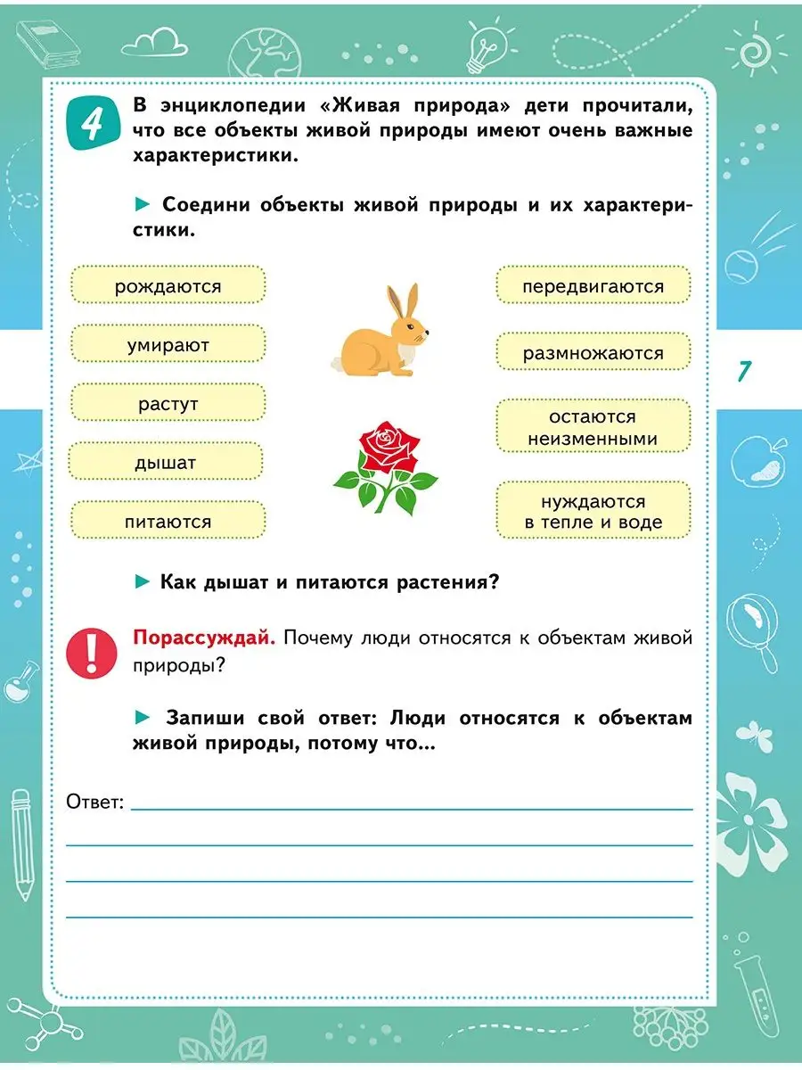 Естественно-научная грамотность. Практикум 1 класс Издательство Планета  137561888 купить за 279 ₽ в интернет-магазине Wildberries