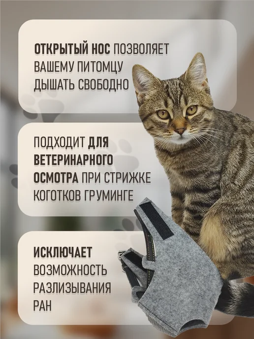 ГуренКОТ Намордник для кошек до 4кг, 4 кг, фото 6