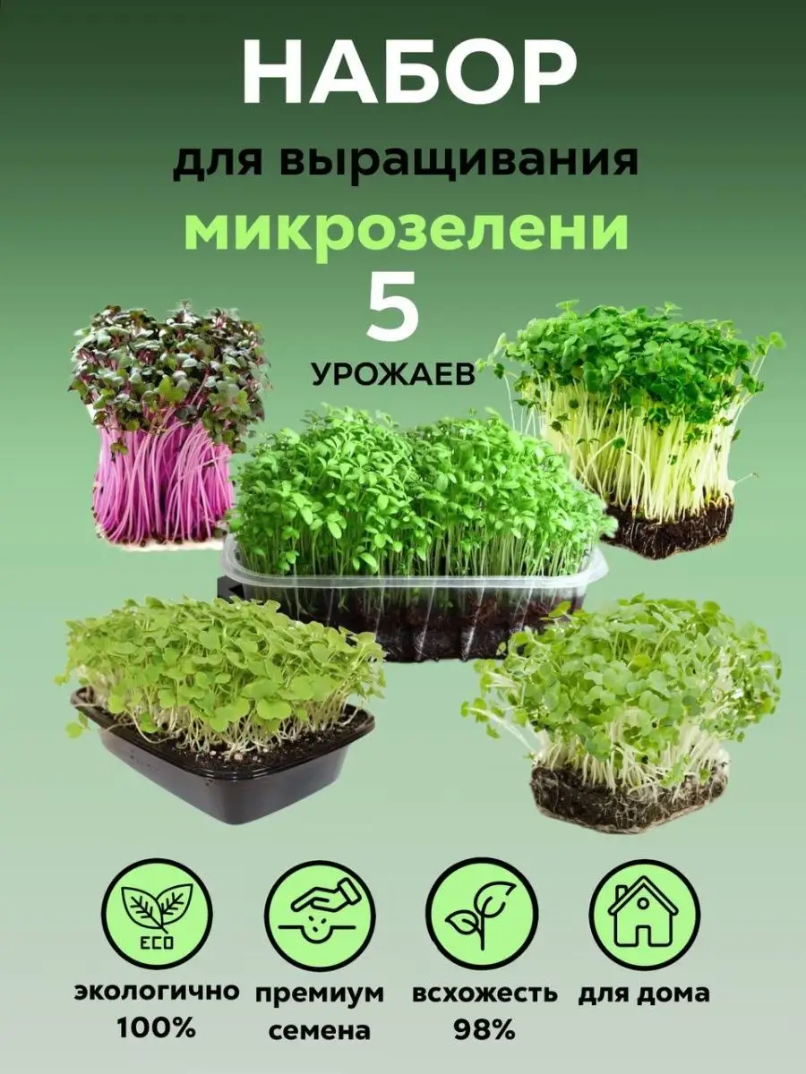 Набор микрозелени для выращивания семян на подарок green$sprout 137569676  купить в интернет-магазине Wildberries