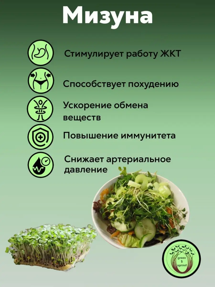 Набор микрозелени для выращивания семян на подарок green$sprout 137569676  купить в интернет-магазине Wildberries