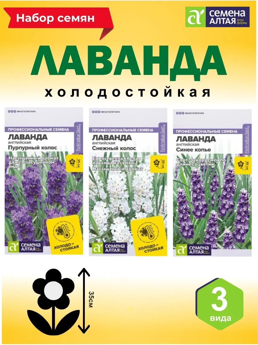 Семена цветов Лаванда Семена Алтая 137583816 купить за 336 ₽ в  интернет-магазине Wildberries