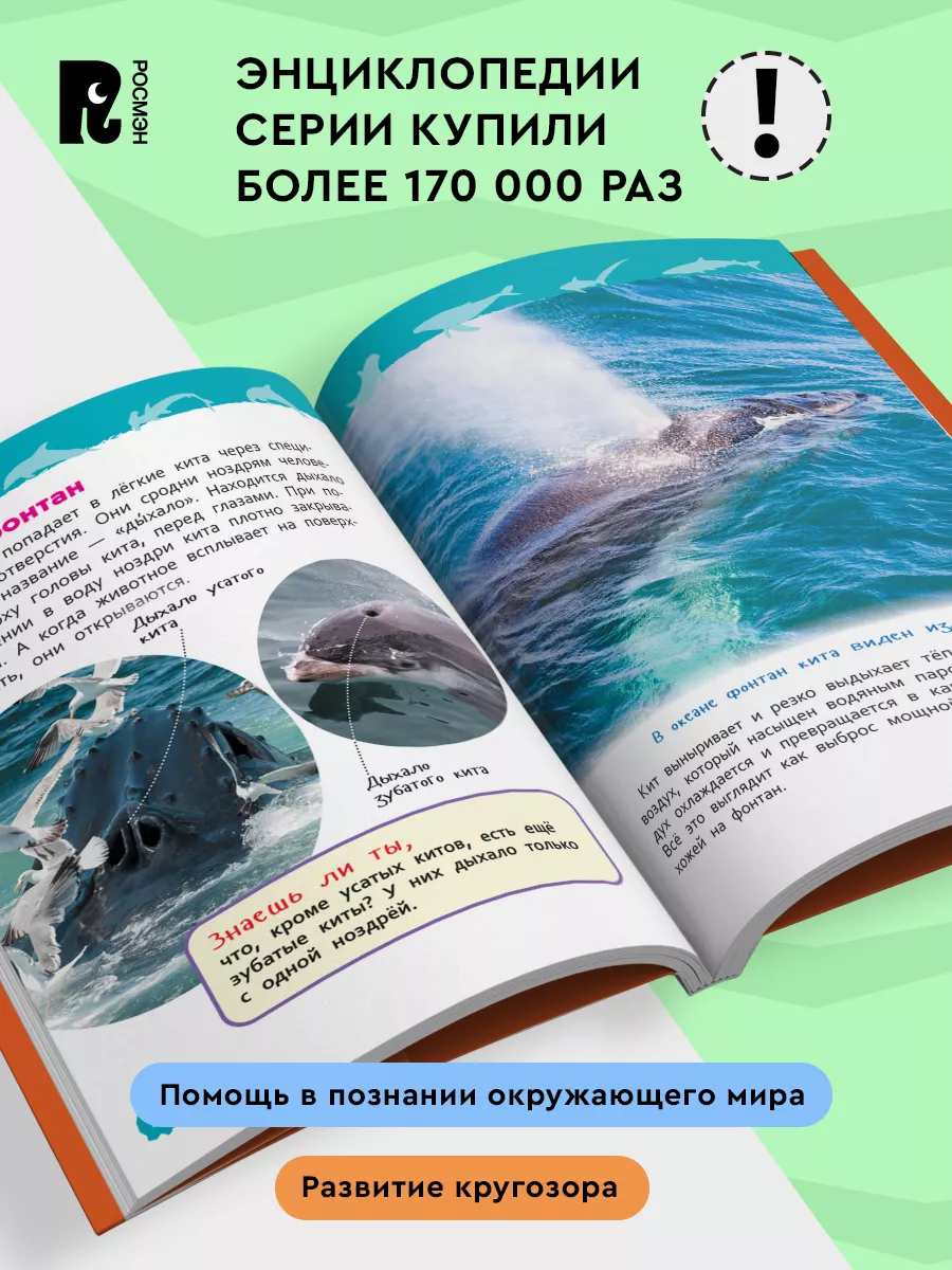 Акулы, киты и дельфины. Энциклопедия для детского сада 5+ РОСМЭН 137604406  купить за 219 ₽ в интернет-магазине Wildberries