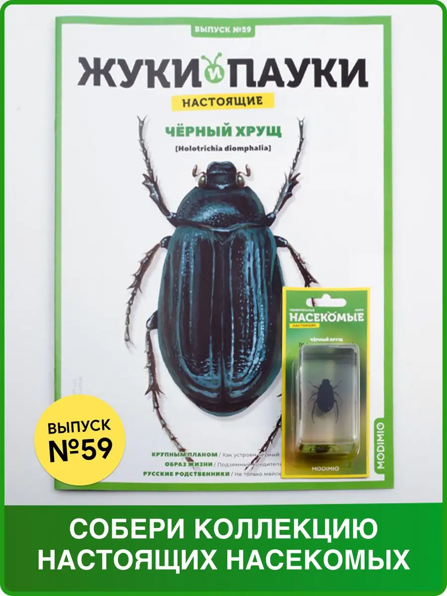 Жуки и пауки, Выпуск №59, Чёрный хрущ MODIMIO 137640424 купить за 512 ₽ в  интернет-магазине Wildberries