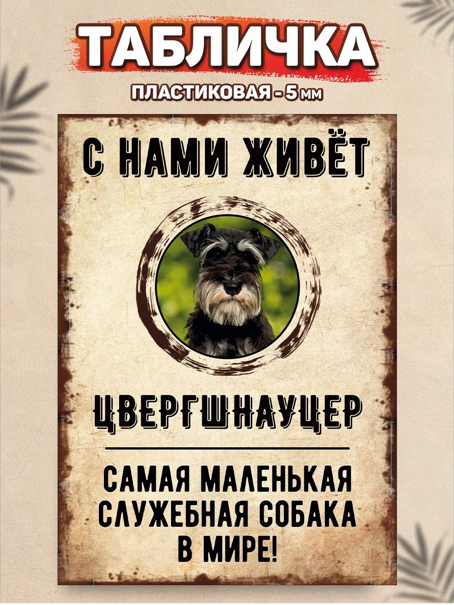 Табличка, Цвергшнауцер DANGER DOG осторожно злая собака 137651407 купить за  446 ₽ в интернет-магазине Wildberries